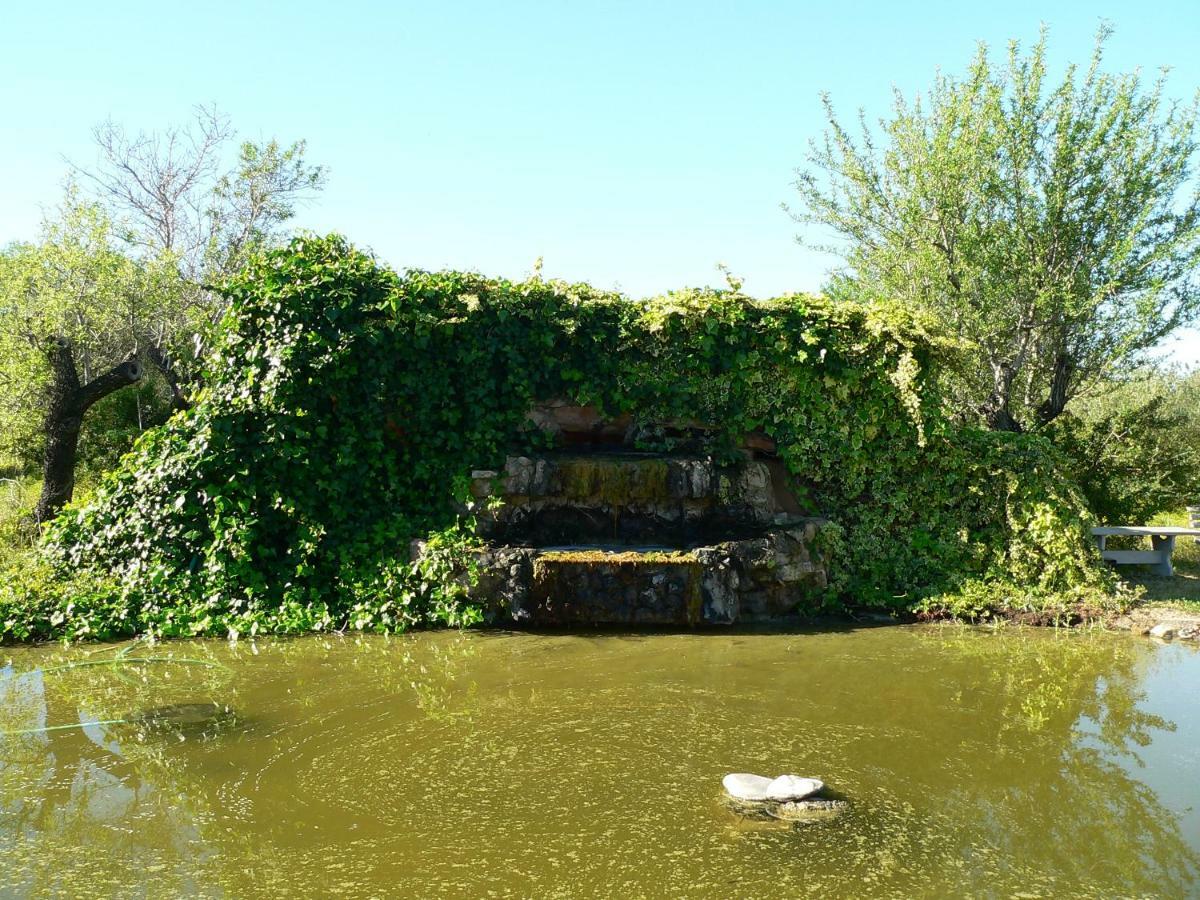Quinta Toca Do Mocho Villa Quelfes Dış mekan fotoğraf