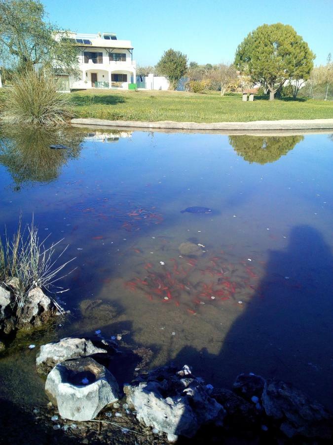 Quinta Toca Do Mocho Villa Quelfes Dış mekan fotoğraf